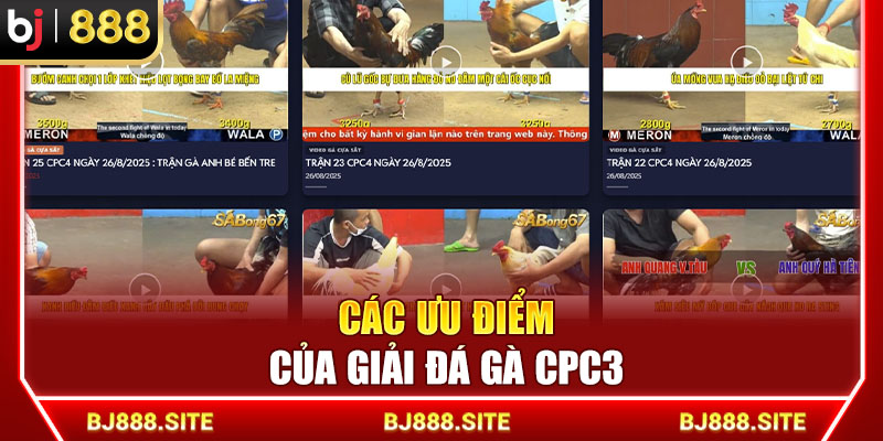 Các ưu điểm của giải đá gà CPC3