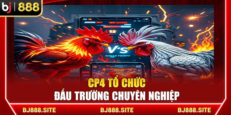CPC4 tổ chức đấu trường chuyên nghiệp