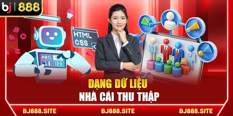 Dạng dữ liệu nhà cái thu thập