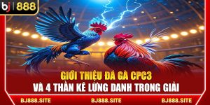 BJ888 Giới Thiệu Đá Gà CPC3 Và 4 Thần Kê Lừng Danh Trong Giải