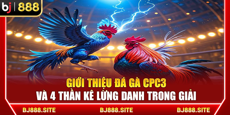 BJ888 Giới Thiệu Đá Gà CPC3 Và 4 Thần Kê Lừng Danh Trong Giải
