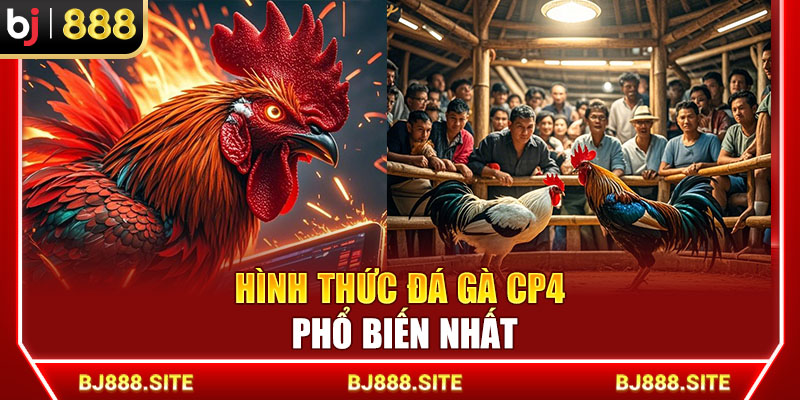 Hình thức đá gà CPC4 phổ biến nhất