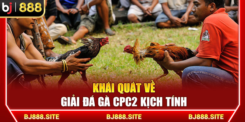 Khái quát về giải đá gà CPC2 kịch tính