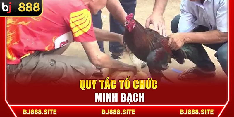 Quy tắc tổ chức minh bạch