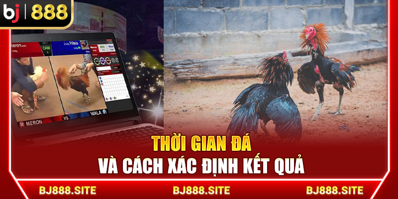 Thời gian đá và cách xác định kết quả