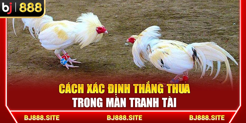 Cách xác định thắng thua trong màn tranh tài