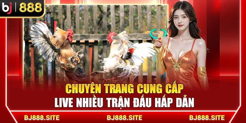 Chuyên trang cung cấp live nhiều trận đấu hấp dẫn