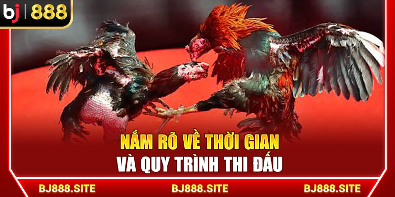 Nắm rõ về thời gian và quy trình thi đấu