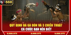 Quy Định Đá Gà Đòn Và 3 Chiến Thuật Cá Cược BJ888 Khuyên Dùng