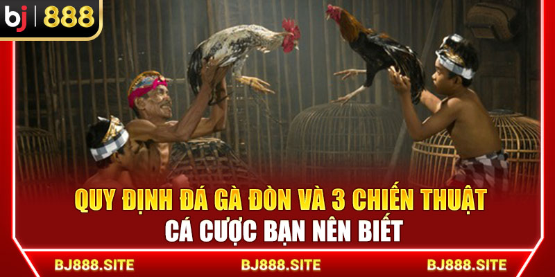 Quy Định Đá Gà Đòn Và 3 Chiến Thuật Cá Cược BJ888 Khuyên Dùng