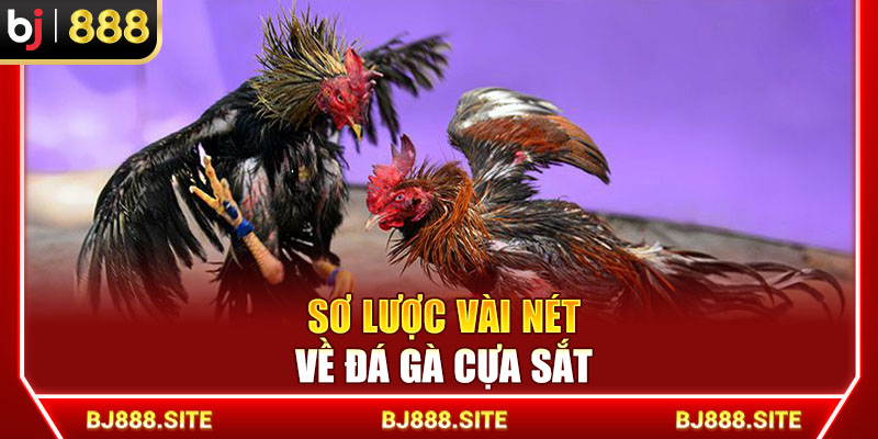Sơ lược vài nét về đá gà cựa sắt