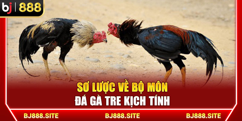 Sơ lược về bộ môn đá gà tre kịch tính
