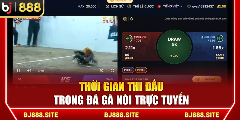 Thời gian thi đấu trong đá gà nòi trực tuyến