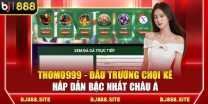 THOMO999 - Đấu Trường Chọi Kê Hấp Dẫn Bậc Nhất Châu Á