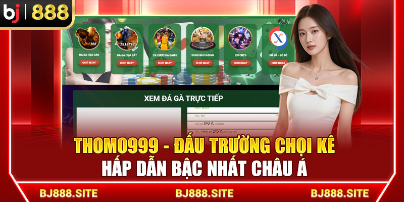 THOMO999 - Đấu Trường Chọi Kê Hấp Dẫn Bậc Nhất Châu Á