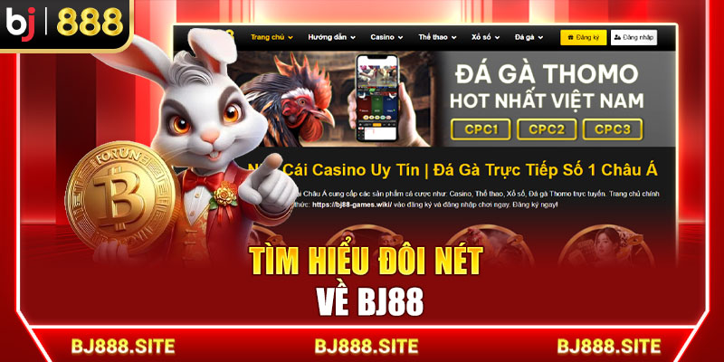 Tìm hiểu đôi nét về BJ88