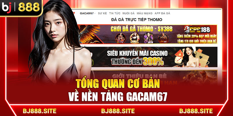 Tổng quan cơ bản về nền tảng GACAM67