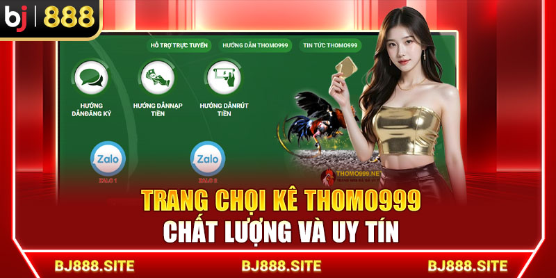 Trang chọi kê THOMO999 chất lượng và uy tín